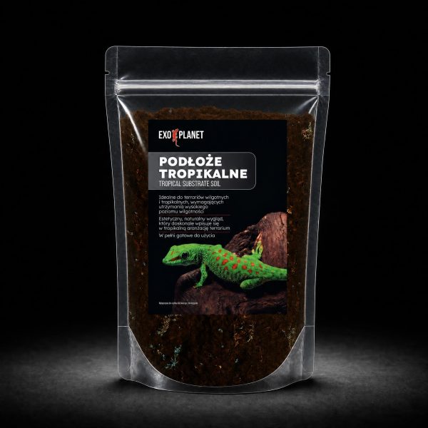 WYPOSAŻENIE TERRARIUM