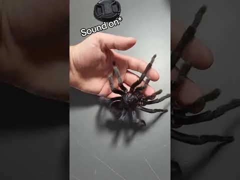 Nieszkodliwy gigant